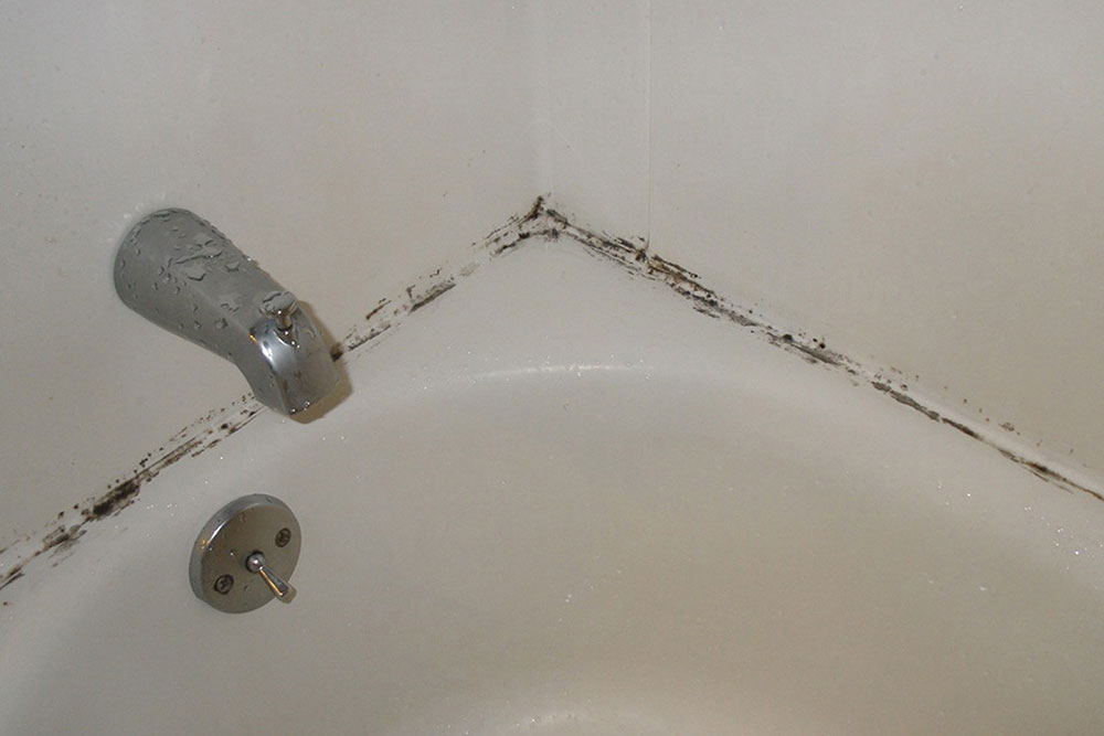 bathroom-mold-bathtub-standard1_9983fb81d2d073f562ab5dfcb47e1824 How to remove bathroom mold: tips for a clean bathroom