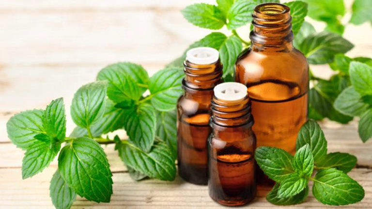 strong peppermint oil for rats